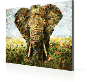 foto mosaico su alluminio_esempio elefante