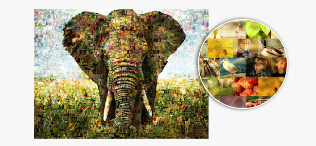 come funziona un foto mosaico_esempio elefante