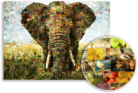 mosaico esempio elefante