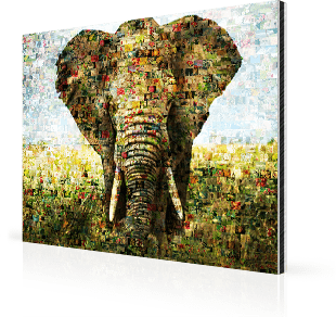foto mosaico su alluminio_esempio elefante